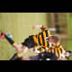 image 34 of 66